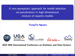 A non-asymptotic approach for model selection via penalization in high-dimensional mixture of experts models